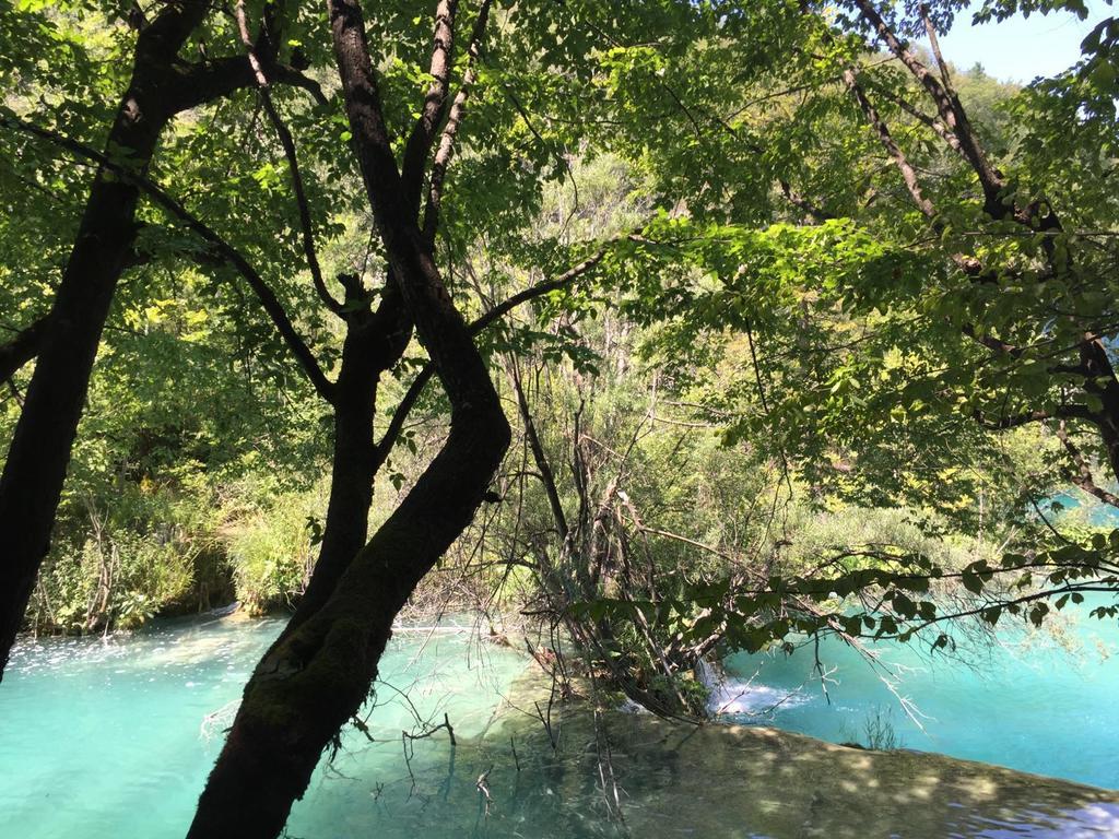 Pool Plitvice Lakes Hiša za goste Grabovac (Karlovac)